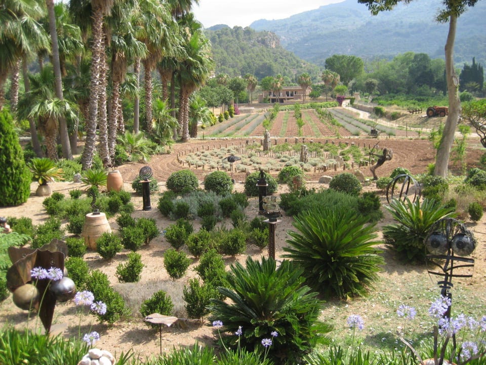 Seh gepflegter und aktiv bewirtschafteter Garten Finca Ca N'Aí