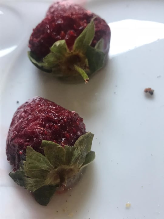 Gastro Hane Family Resort