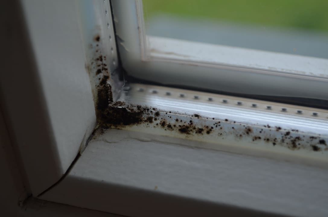 Bio-Schimmel 3 Biohotel Stiftsgut Wilhelmsglücksbrunn