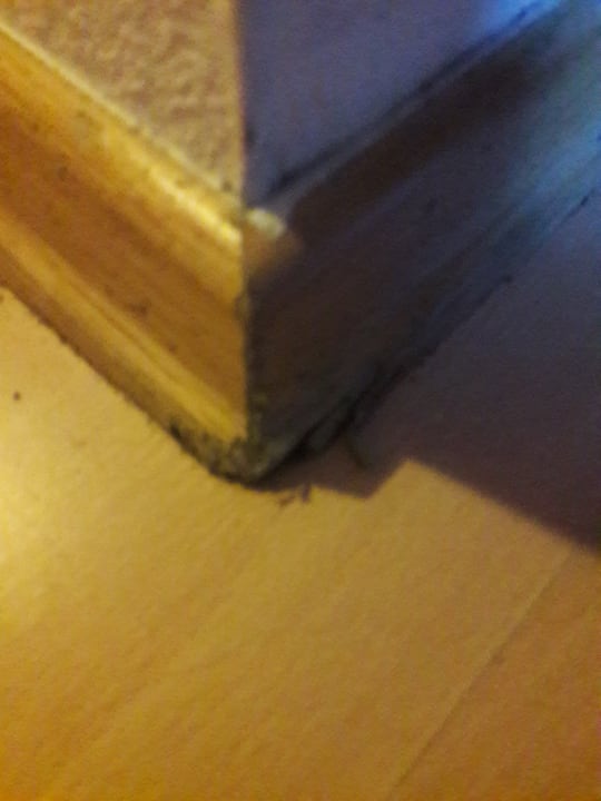 Zimmer Gasthof Bergheimat