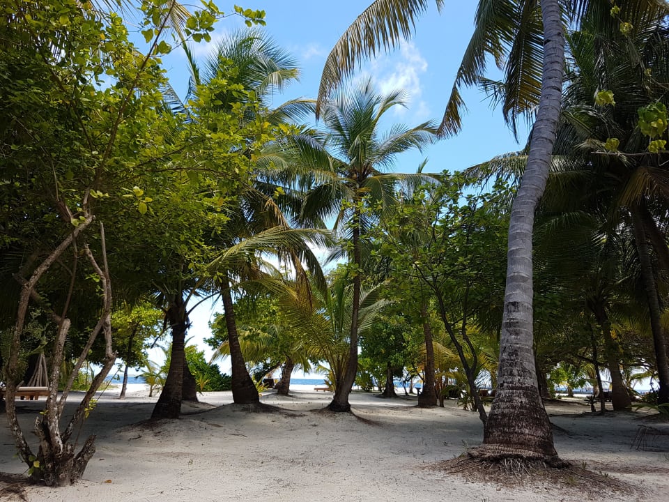 Ausblick vom Zimmer 107 Adaaran Select Meedhupparu Island Resort - Premium All Inclusive