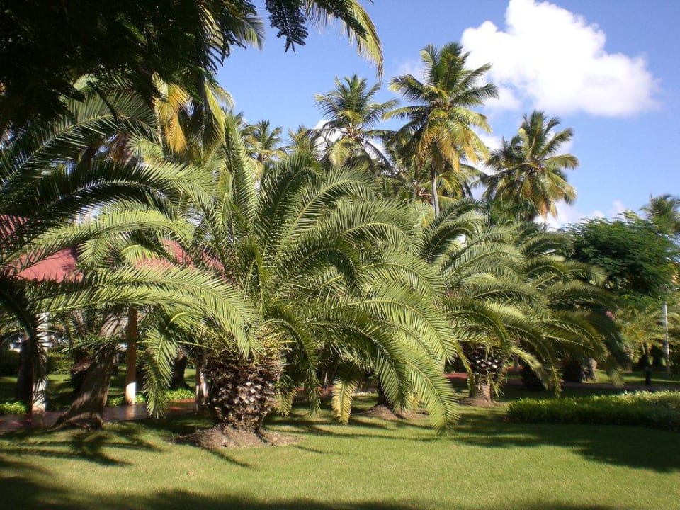 Bavaro-Bereich Grand Palladium Select Bávaro Resort & Spa