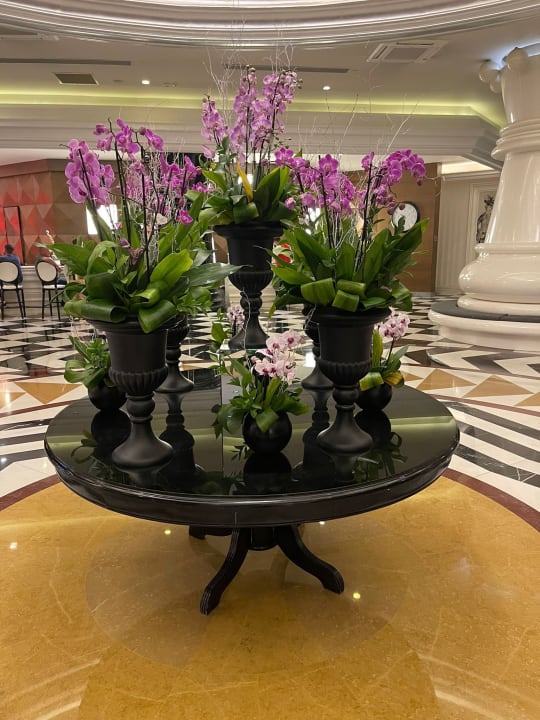 Lobby Hotel Delphin Imperial