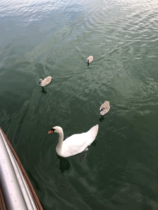 Sonstiges Floating Village Brombachsee