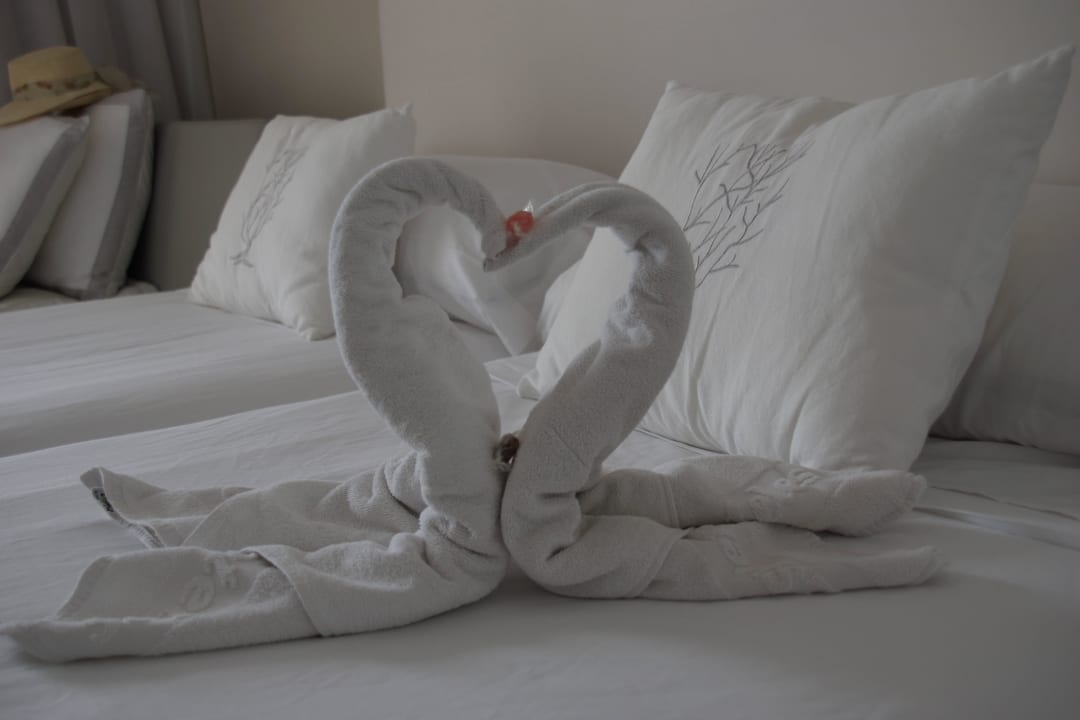 So eine Überraschung im Zimmer, vielen Dank! Playa Esperanza Resort