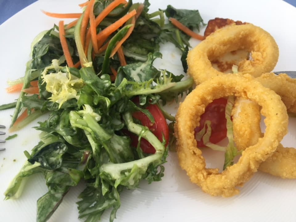 Gastro Seashell Vega