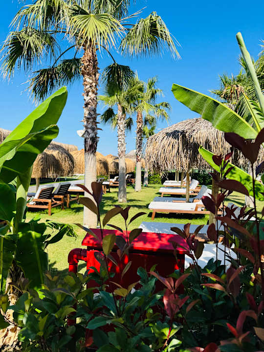 Außenansicht Rubi Platinum Sign