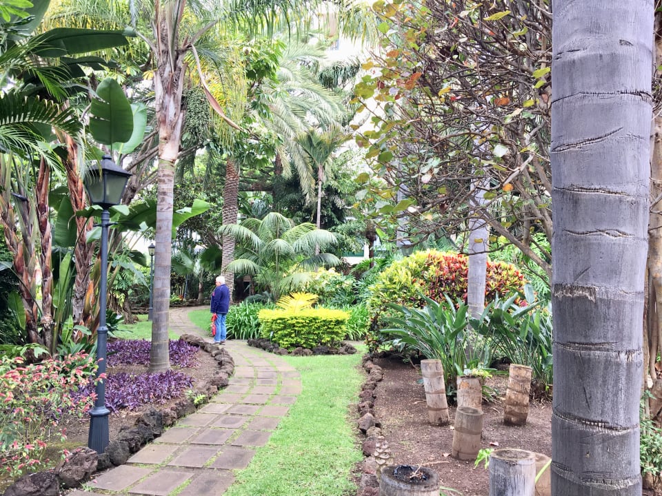 Gartenanlage BLUESEA Costa Jardin Spa