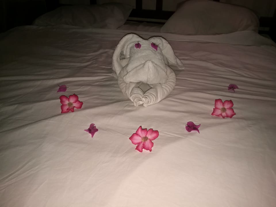 Zimmer Hotel Bentota Village