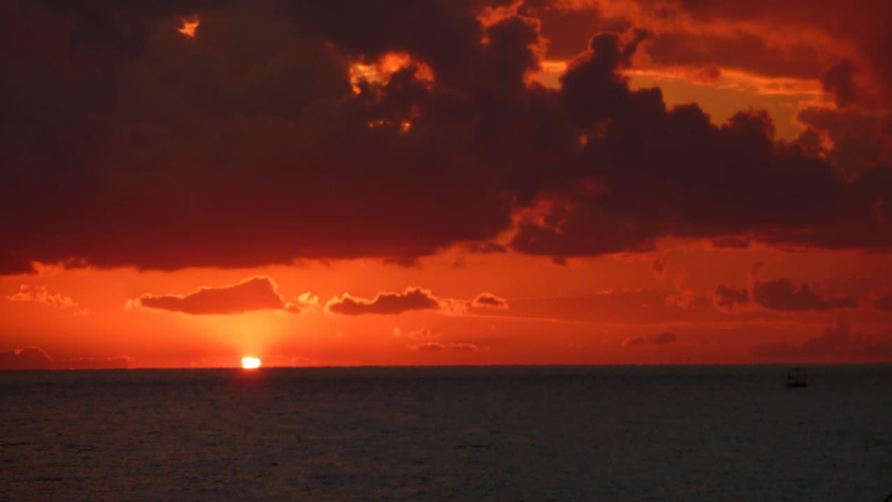 Hotel Michell Michell Hotel & Spa