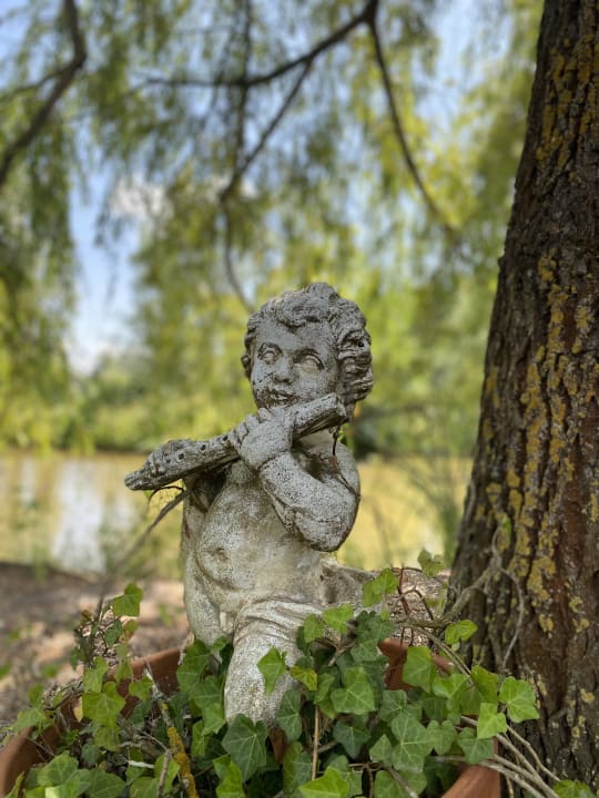 Ausblick Zur Grünen Au