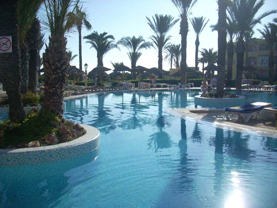 Palmier et eau Houda Golf & Beach Club