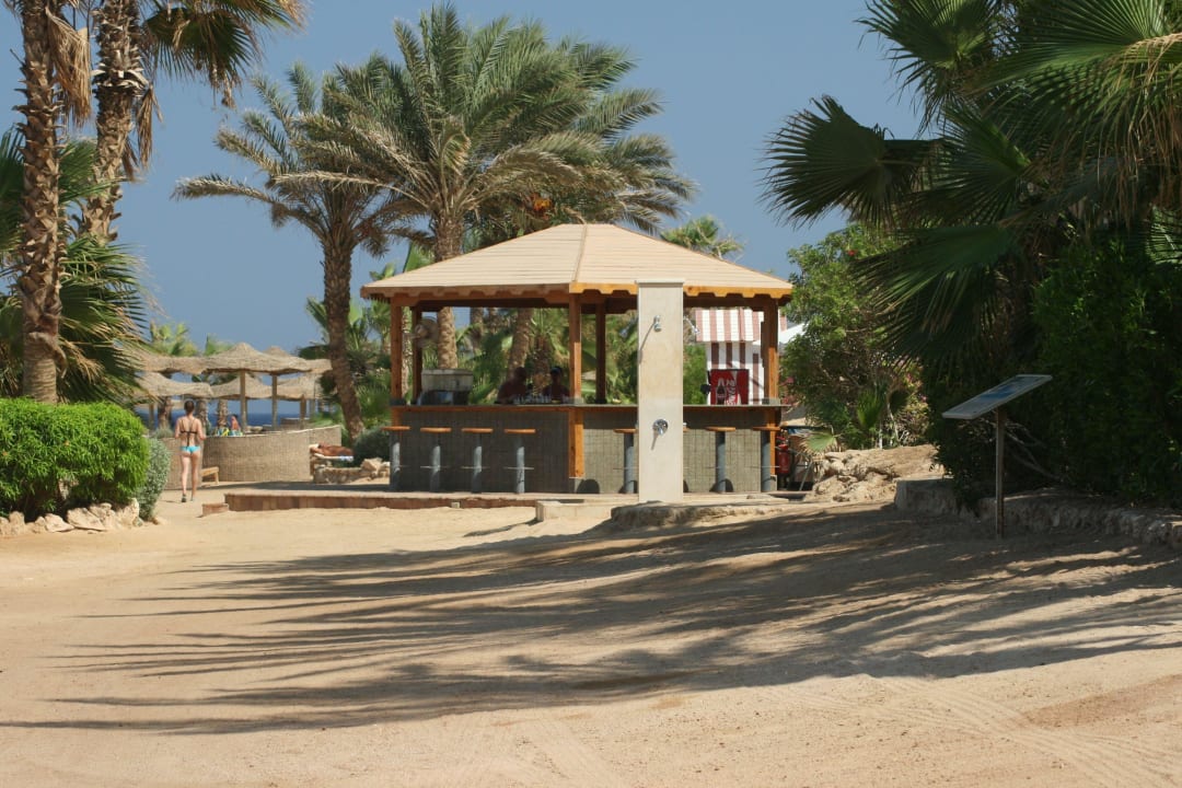 Strandbar Beach  Pickalbatros Citadel Resort