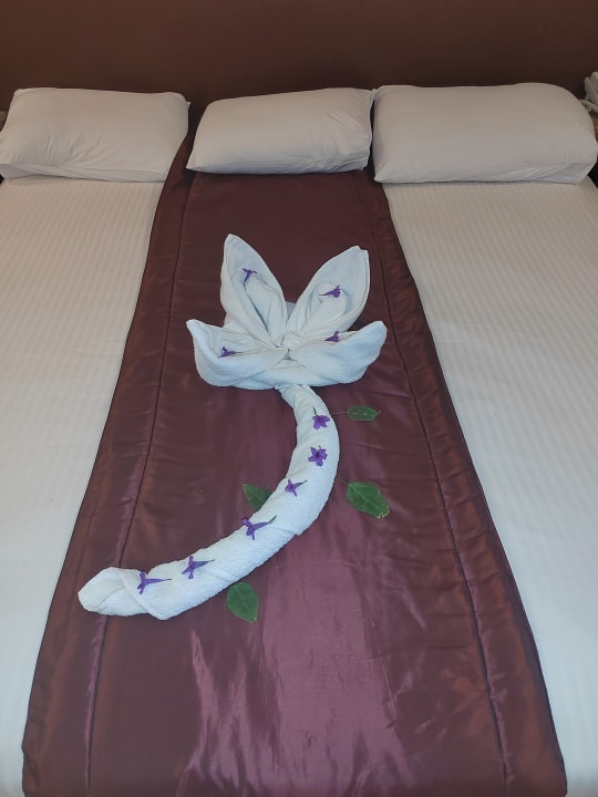 Zimmer Shams Prestige Abu Soma-Adults Only