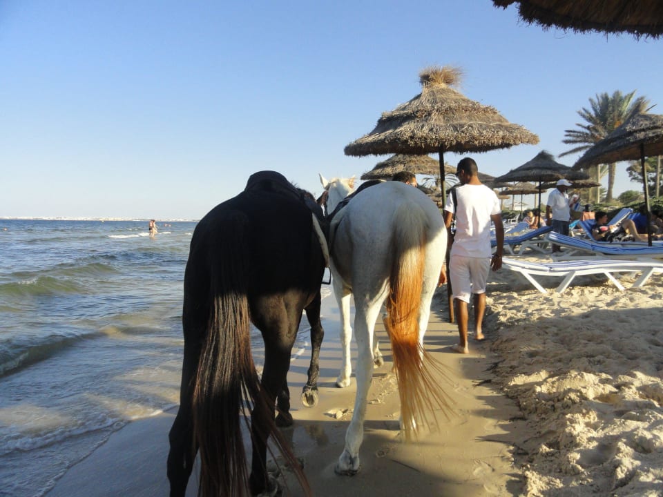 Sehr kleiner Strand und nervige Strandhändler Monarque Club Rivage