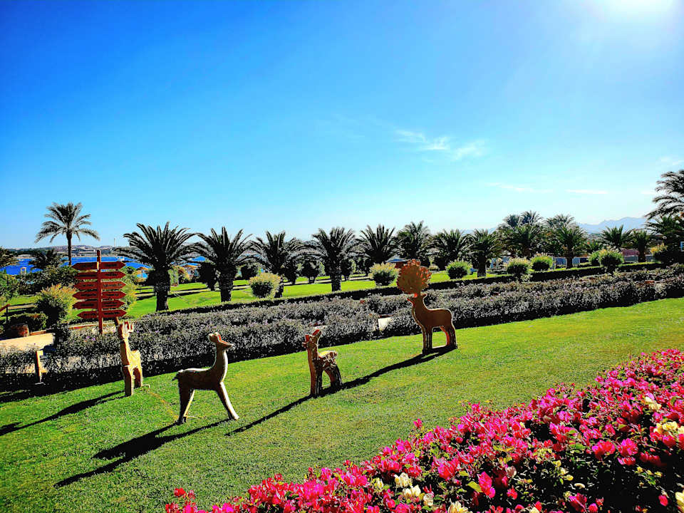 Gartenanlage Fort Arabesque - The West Bay