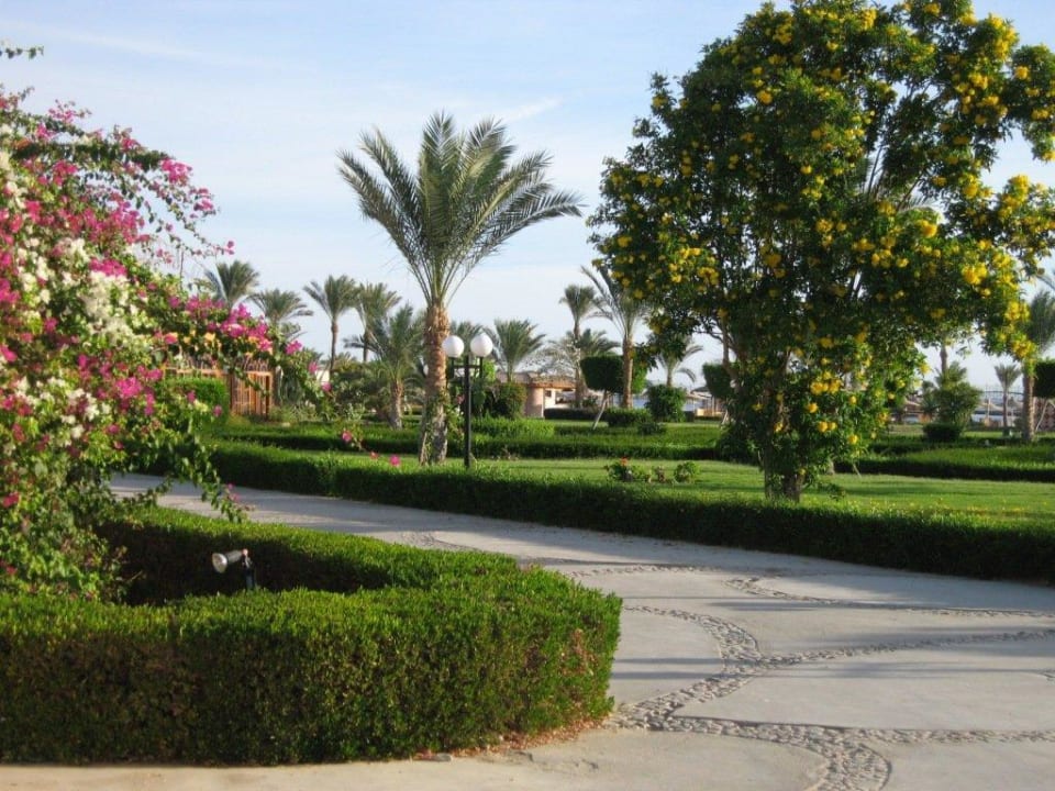 На территории Desert Rose