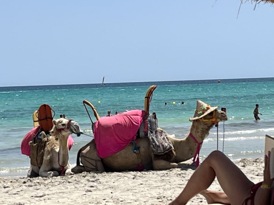 Strand TUI MAGIC LIFE Penelope Beach