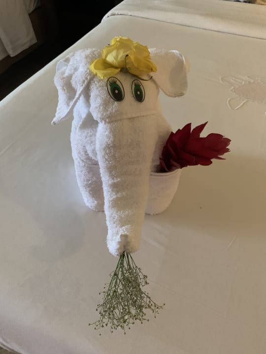 Zimmer Akumal Bay Beach & Wellness Resort