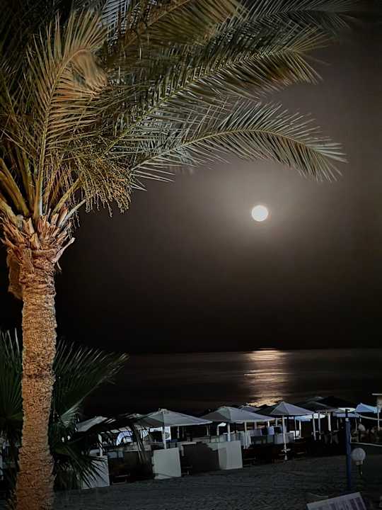 Ausblick Diamond Beach by Pearl Resort