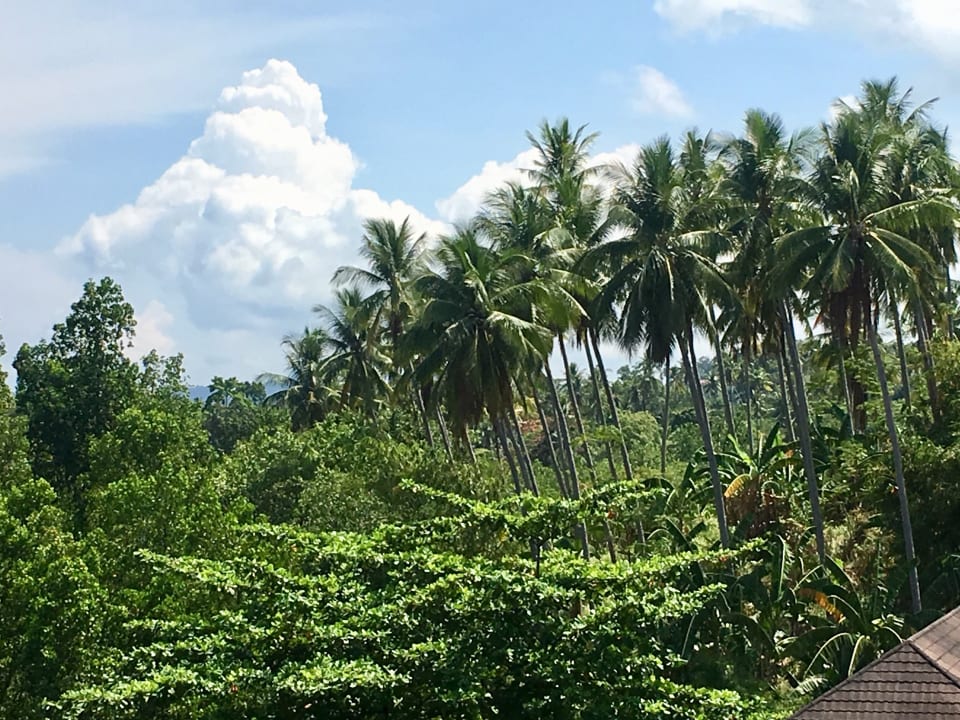 Außenansicht Hotel Grand Luley Resort