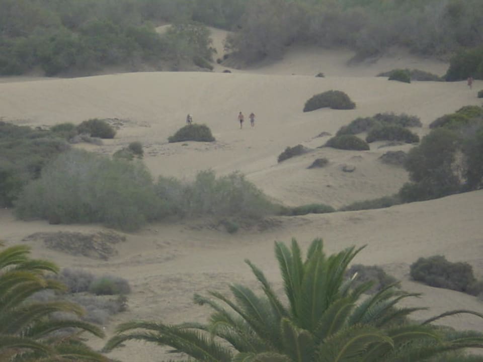 Der Weg durch die Dünen! Hotel Riu Palace Maspalomas Adults Only