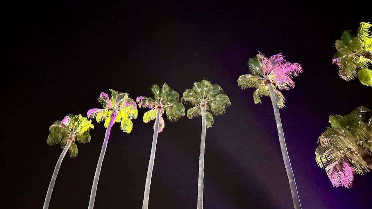 Gartenanlage Acanthus Cennet Barut Collection