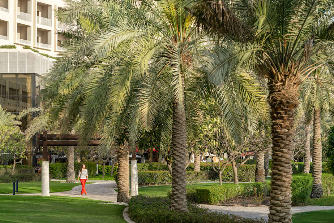Gartenanlage Hotel Sofitel Bahrain Zallaq Thalassa Sea & Spa