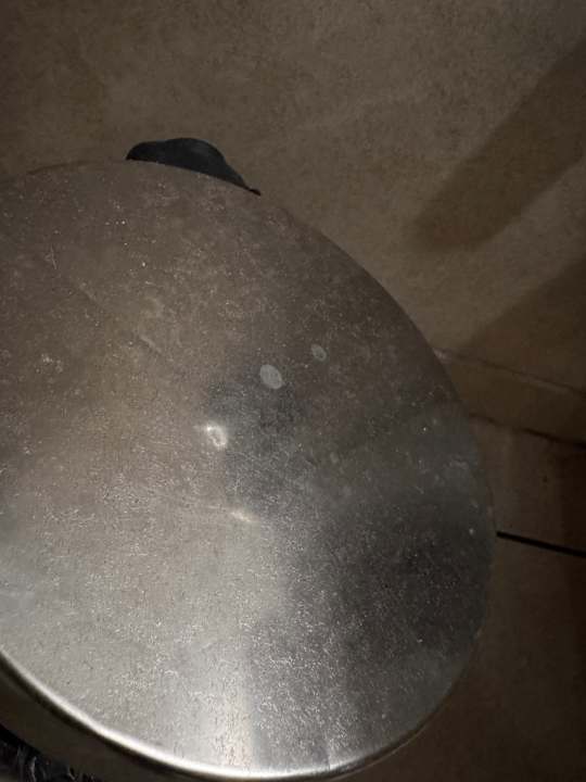 Zimmer Well Palace Side