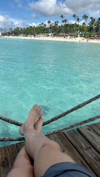 Pool Dreams Dominicus La Romana