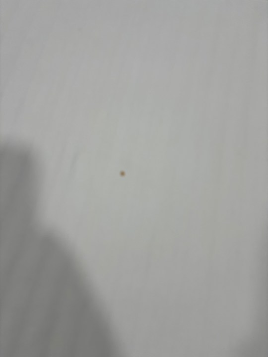 Zimmer Joan Apartments & Spa