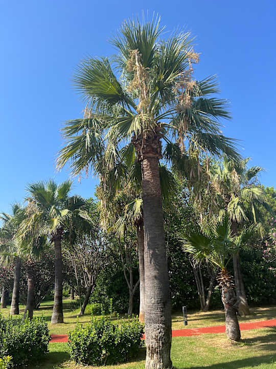 Gartenanlage Ducale Lara