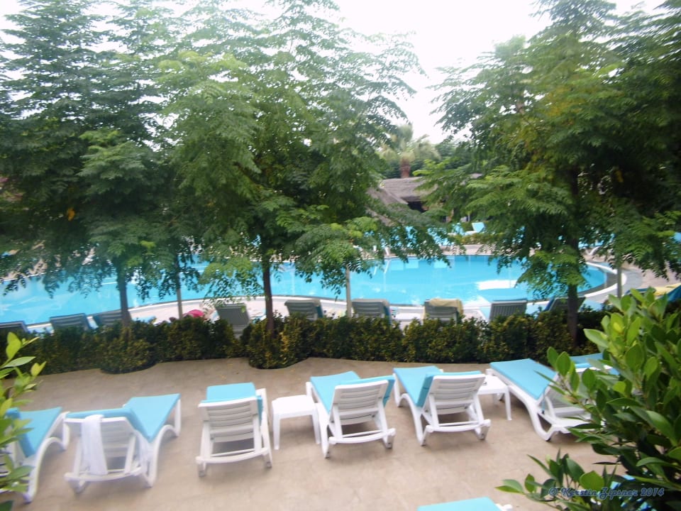 Pool Can Garden Beach