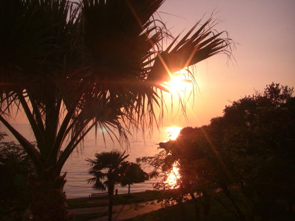 Sonnenuntergang in der Zelena Laguna Hotel Plavi Plava Laguna
