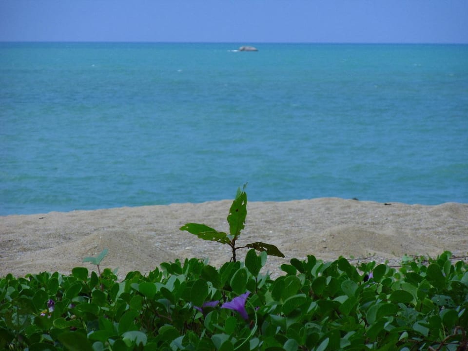 Direkt vor dem Hotel Moracea by Khao Lak Resort