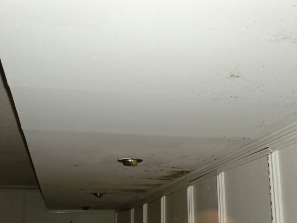 Bild Seehotel Waltershof im Malerwinkel