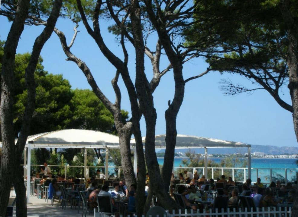 Beachbar und -Restaurant Iberostar Waves Playa de Muro