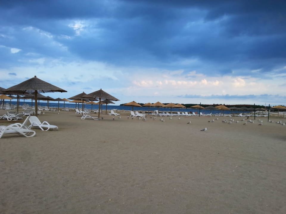 Strand Fkk Valalta Rovinj • Holidaycheck Istrien Kroatien 0073