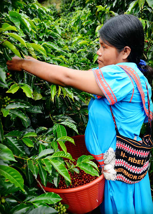 Sonstiges Hotel Finca Lerida