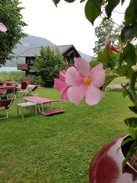 Garten Hotel Seewinkel