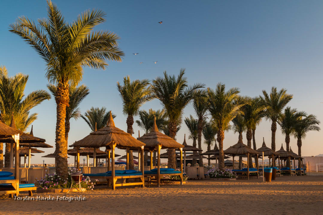 Strand Pickalbatros Palace Resort