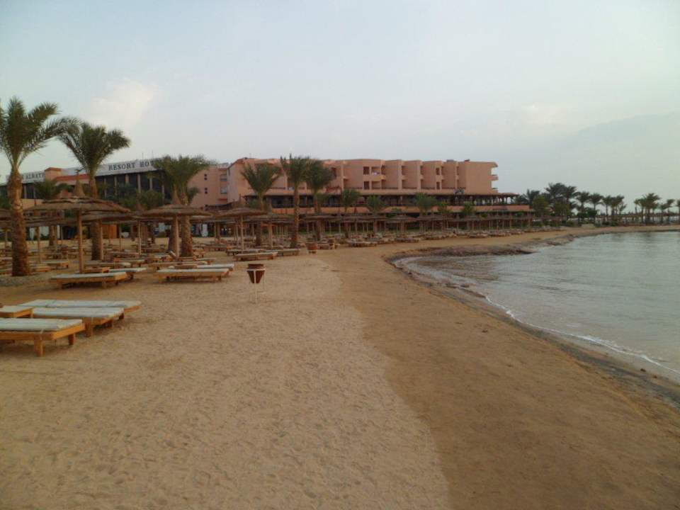 Sehr sauberer Strand Pickalbatros Palace Resort