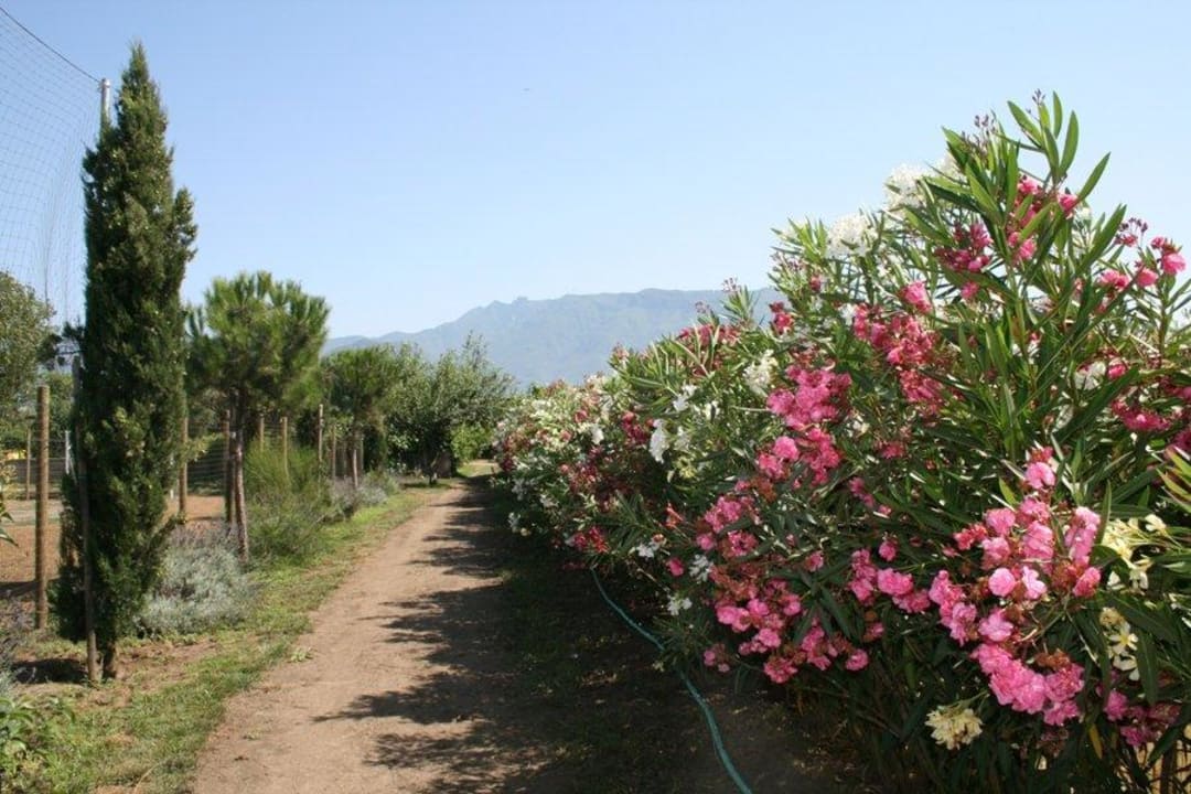 Viale Agriturismo Vivinatura