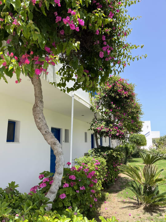 Gartenanlage Hotel Hara Ilios Village