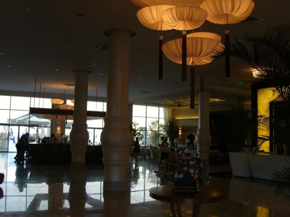 Topstylisch Paloma Pasha