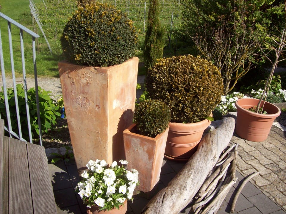 Dekoration Hotel freiSicht