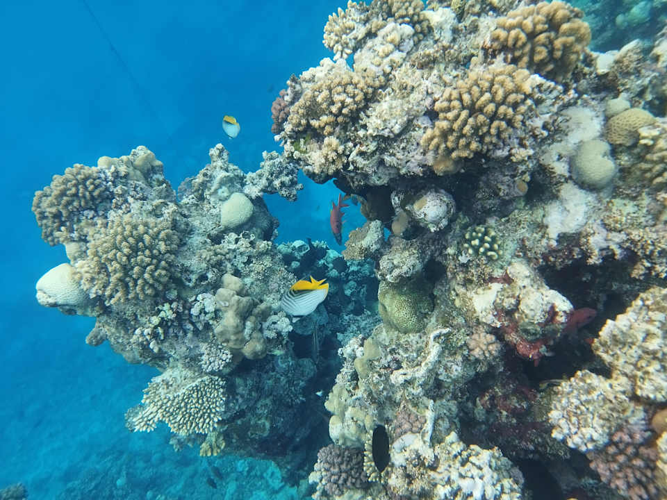 Sport & Freizeit Three Corners Sea Beach Resort