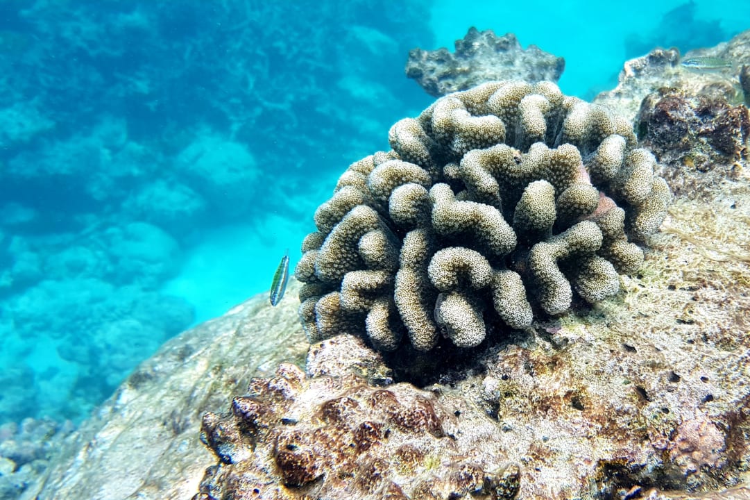 Sport & Freizeit Summer Island Maldives