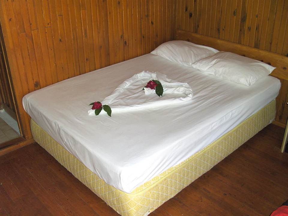 Herzvolle Überraschung von den Zimmerfrauen Clover Magic Nova Beach