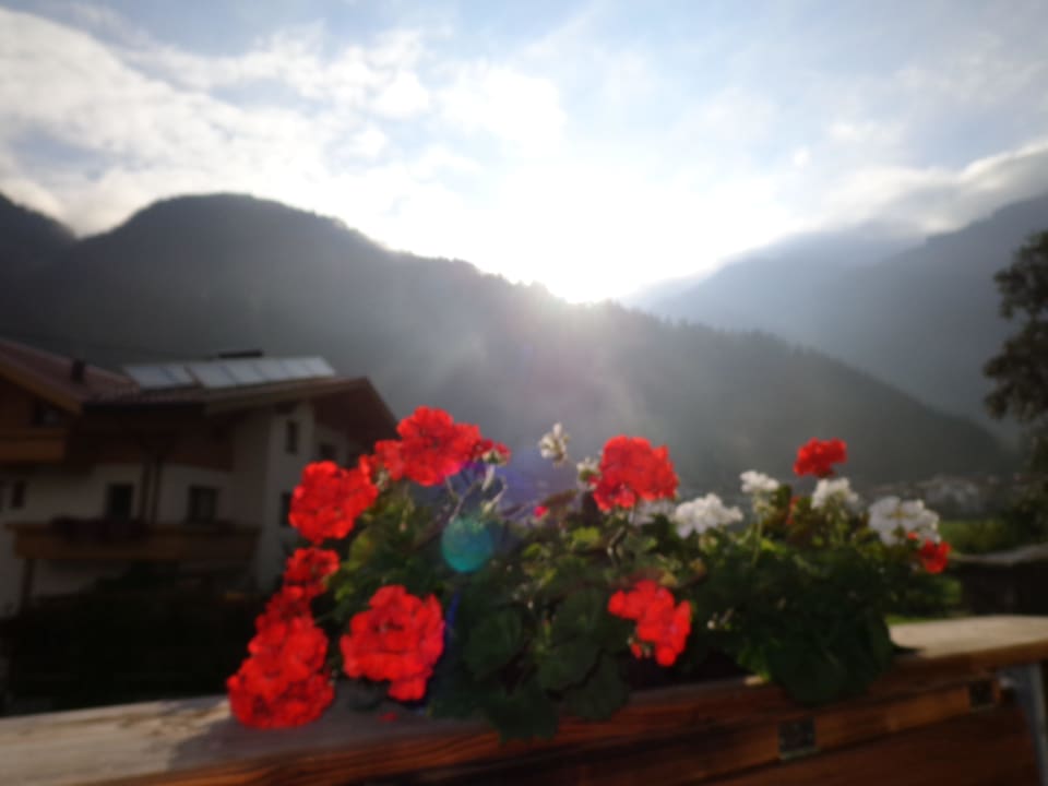 Balkon Alpenresort Thanner